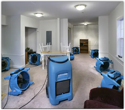 Mold Remediation & Removal in Rye, NY