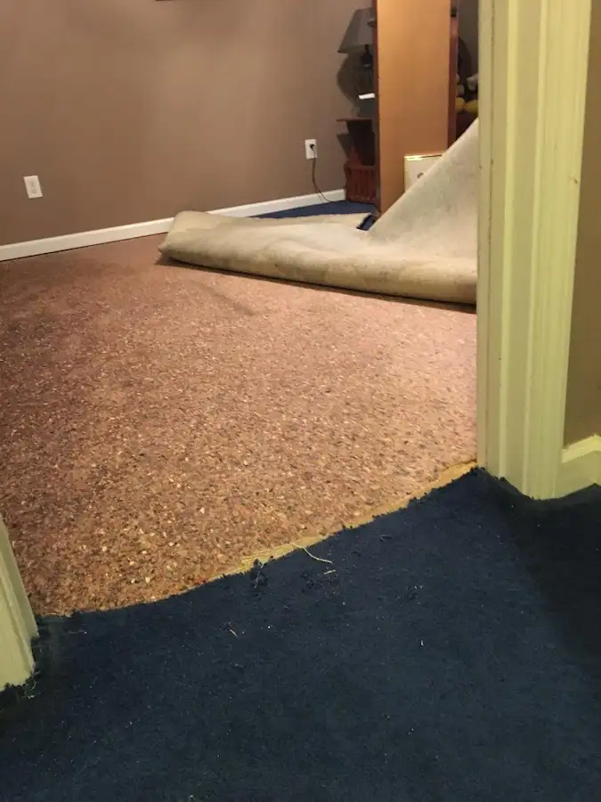 Carpet pad removal revealing water damage during Drying & Dehumidification in Rye