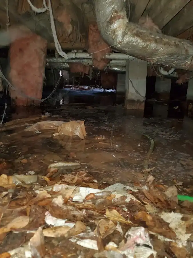 Crawl space flood assessment for Leak Detection & Repair in Rye